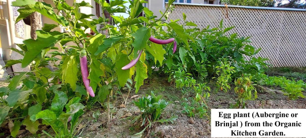 Ikraam Inn Bed & Breakfast Srinagar  Ngoại thất bức ảnh