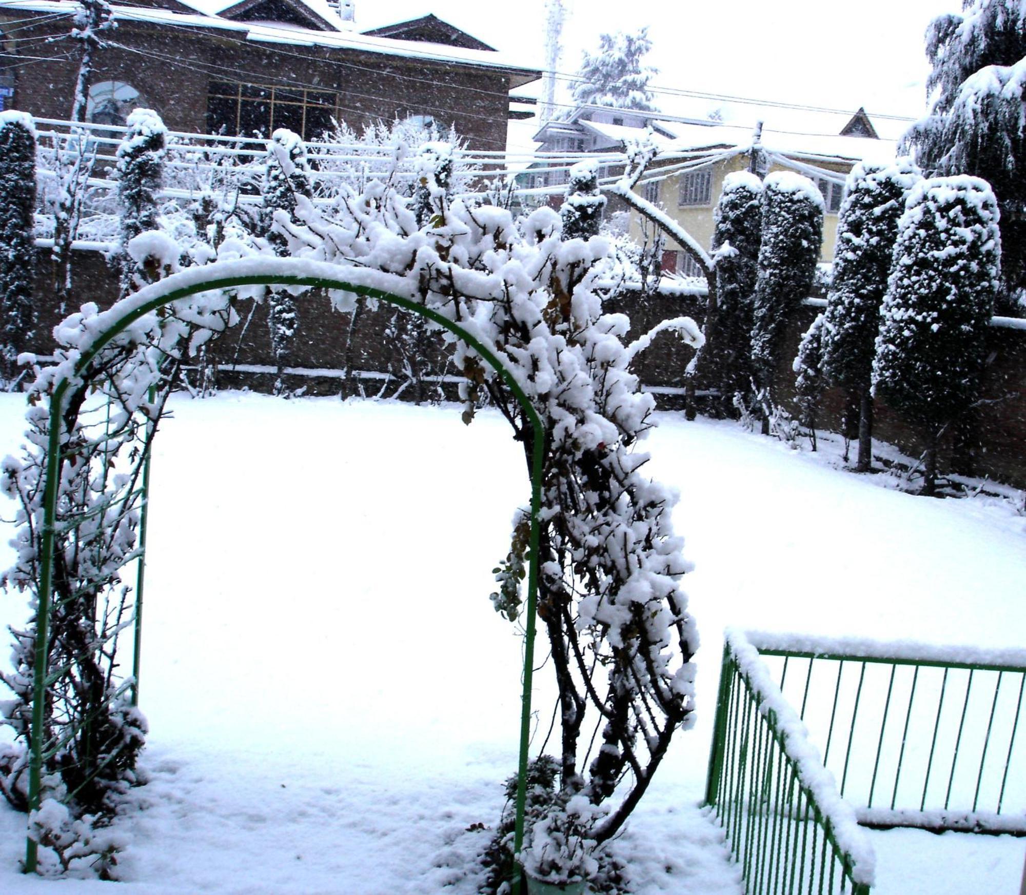 Ikraam Inn Bed & Breakfast Srinagar  Ngoại thất bức ảnh